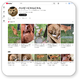 ハッピーにゃんにゃんの猫動画チャンネルを見る